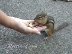 A helping hand